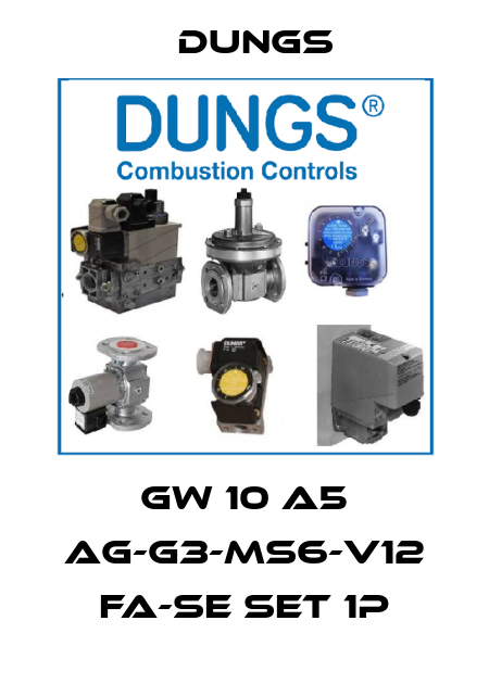 GW 10 A5 Ag-G3-MS6-V12 fa-se Set 1P Dungs