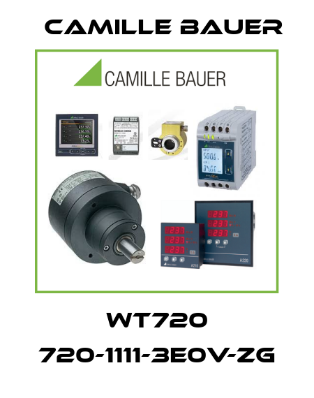 WT720 720-1111-3E0V-ZG Camille Bauer