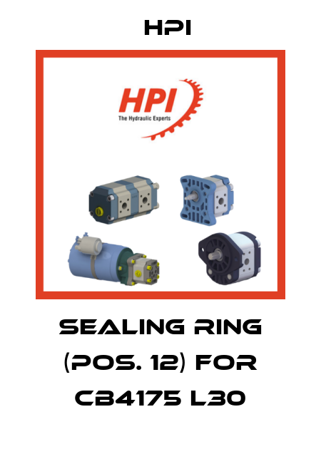 Sealing ring (Pos. 12) for CB4175 L30 HPI