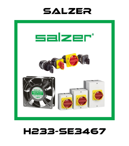 H233-SE3467 Salzer
