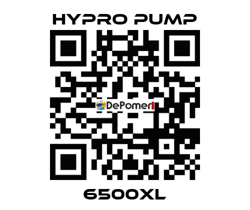 6500XL Hypro Pump