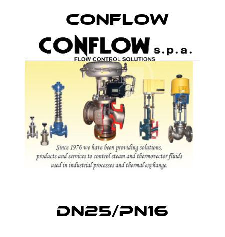 DN25/PN16 CONFLOW