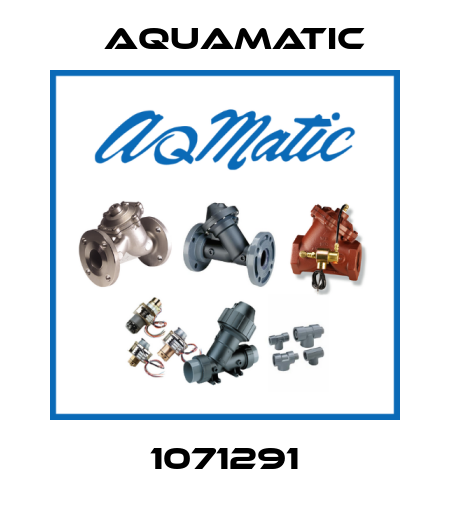 1071291 AquaMatic