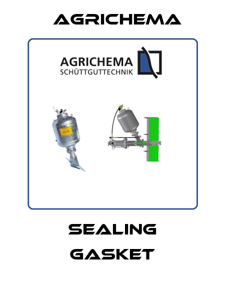Sealing gasket Agrichema
