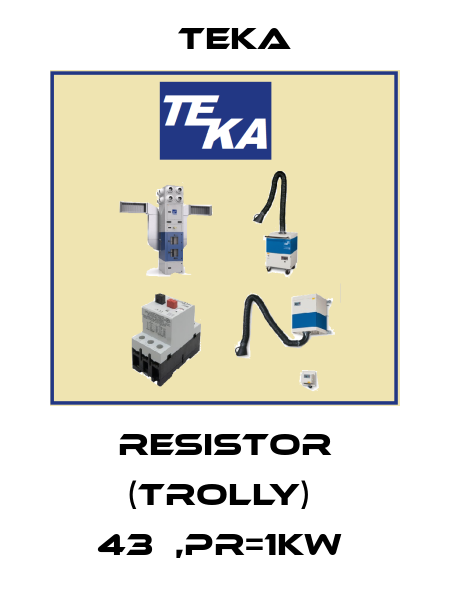 RESISTOR (TROLLY)  43Ω,PR=1KW  Teka