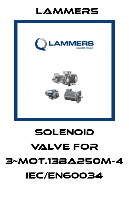 Solenoid valve for 3~Mot.13BA250M-4 IEC/EN60034 Lammers