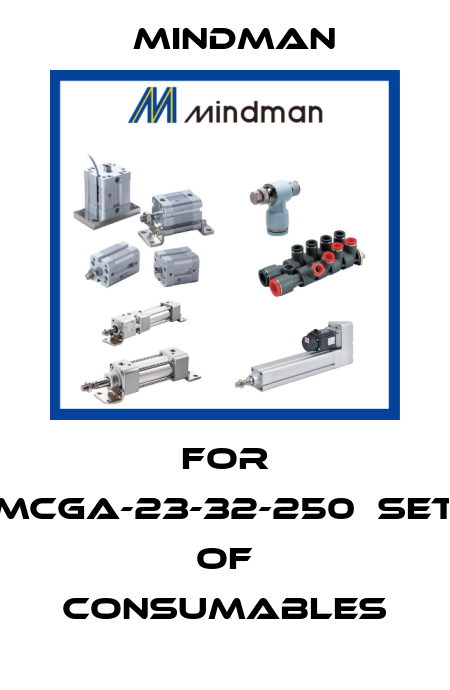 For MCGA-23-32-250　set of consumables Mindman