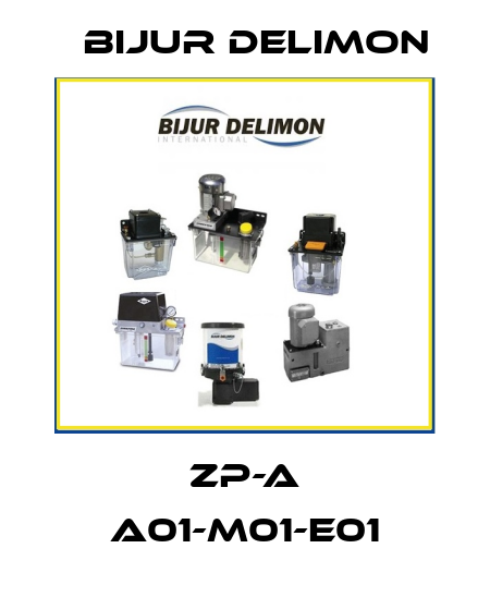 ZP-A A01-M01-E01 Bijur Delimon