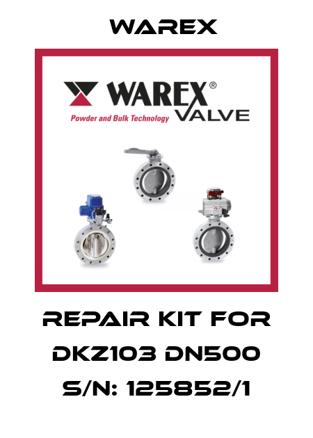 repair kit for DKZ103 DN500 S/N: 125852/1 Warex