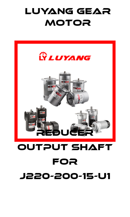 reducer output shaft for J220-200-15-U1 Luyang Gear Motor