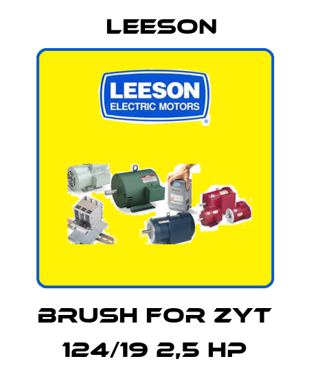 brush for ZYT 124/19 2,5 hp Leeson