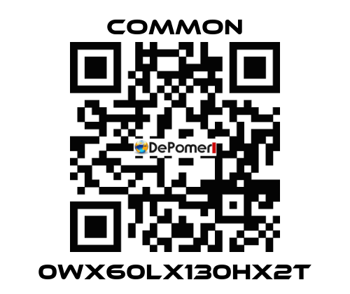 0Wx60Lx130Hx2T COMMON