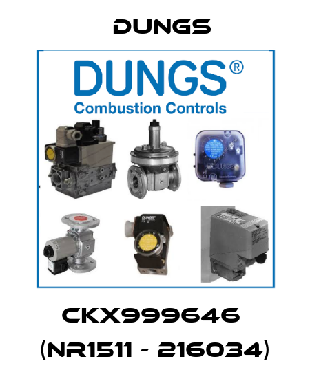 CKX999646  (nr1511 - 216034) Dungs