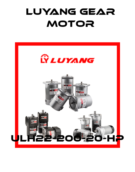 ULH22-200-20-HP Luyang Gear Motor