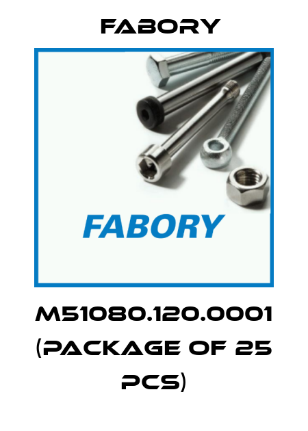 M51080.120.0001 (package of 25 pcs) Fabory