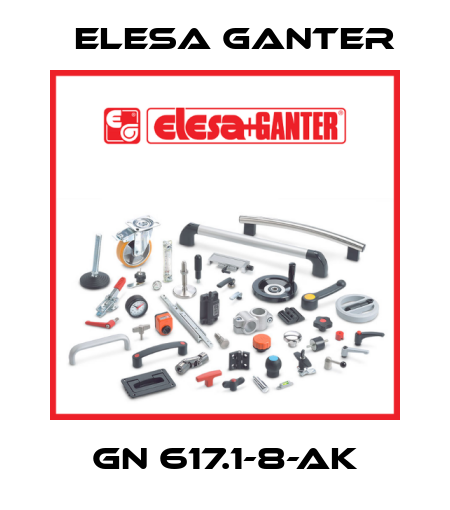 GN 617.1-8-AK Elesa Ganter