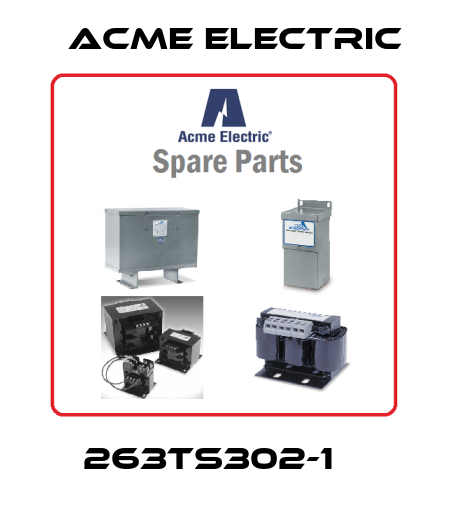  263TS302-1    Acme Electric