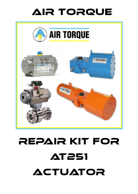 Repair kit for AT251 actuator Air Torque