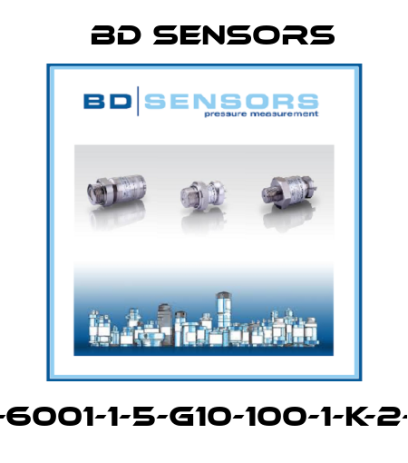 590-6001-1-5-G10-100-1-K-2-000 Bd Sensors