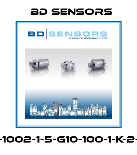 590-1002-1-5-G10-100-1-K-2-000 Bd Sensors