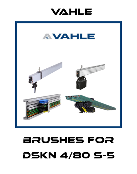 brushes for DSKN 4/80 S-5 Vahle