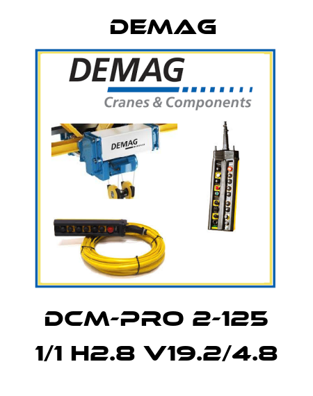 DCM-Pro 2-125 1/1 H2.8 V19.2/4.8 Demag