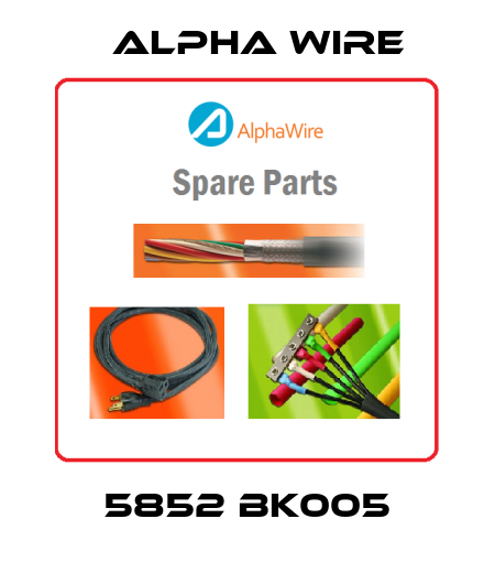 5852 BK005 Alpha Wire