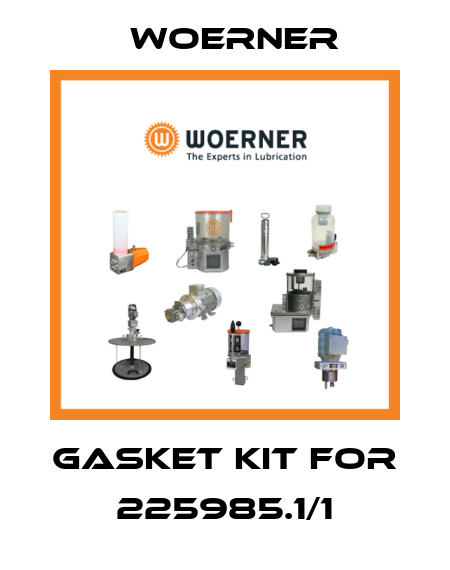 gasket kit for 225985.1/1 Woerner