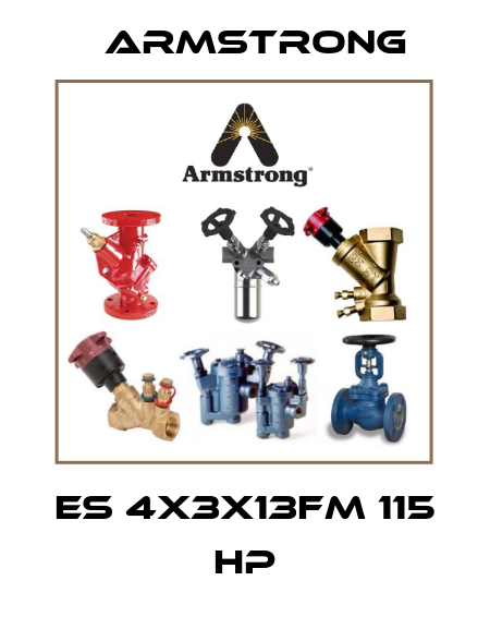 ES 4X3X13FM 115 HP Armstrong
