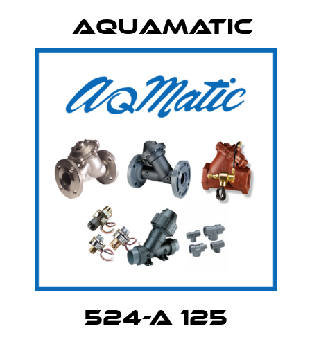  524-A 125 AquaMatic