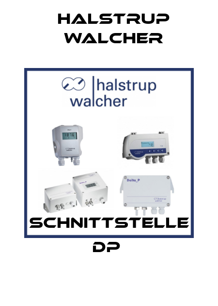 SCHNITTSTELLE DP  Halstrup Walcher