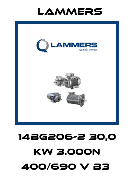14BG206-2 30,0 KW 3.000N 400/690 V B3  Lammers