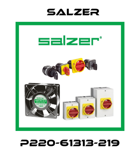P220-61313-219 Salzer