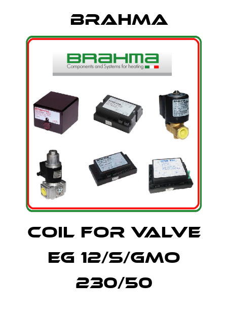 Coil for Valve EG 12/S/GMO 230/50 Brahma
