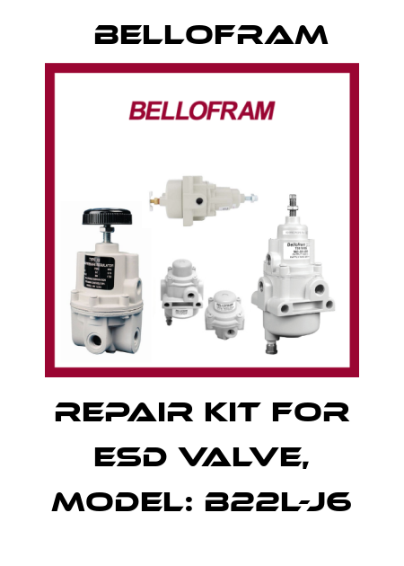 Repair kit for ESD Valve, Model: B22L-J6 Bellofram
