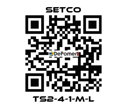 TS2-4-1-M-L SETCO