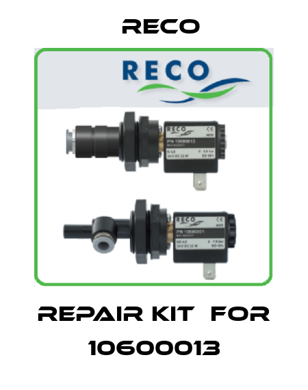 repair kit  for 10600013 Reco