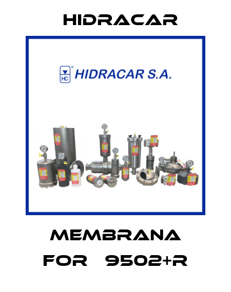 membrana for Р9502+R Hidracar