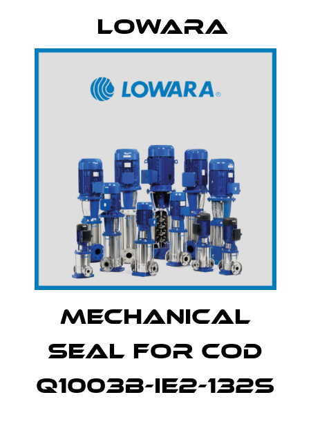 mechanical seal for cod Q1003B-IE2-132S Lowara