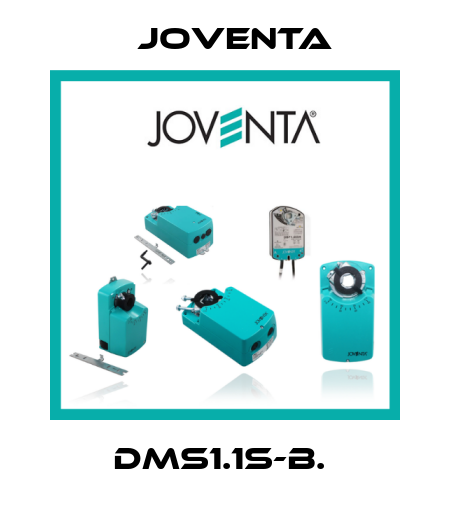 DMS1.1S-B.  Joventa