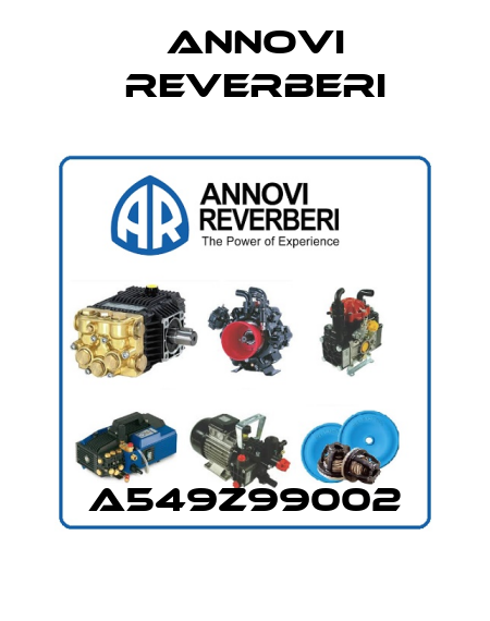A549Z99002 Annovi Reverberi