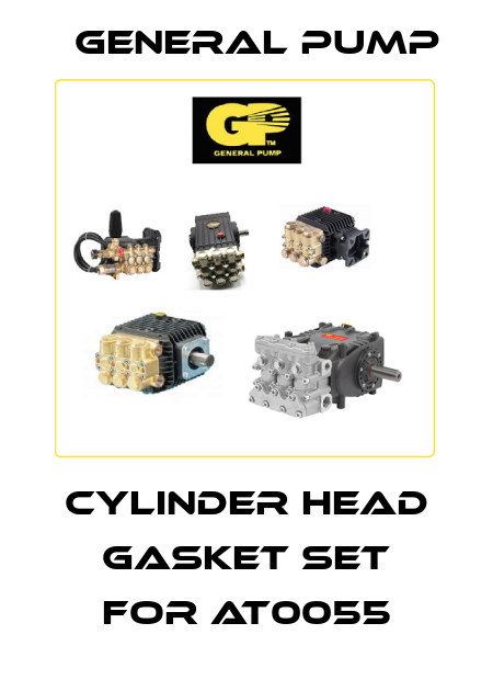 Cylinder head gasket set for AT0055 General Pump