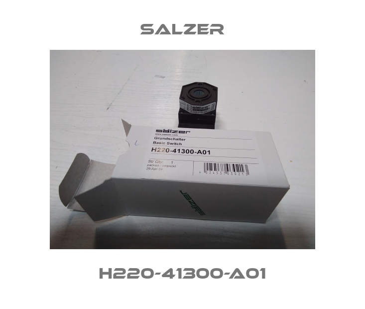 H220-41300-A01 Salzer