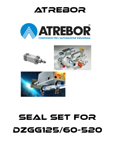 SEAL SET FOR DZGG125/60-520  Atrebor