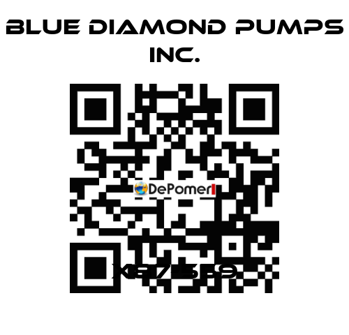 X87-559 Blue Diamond Pumps Inc.