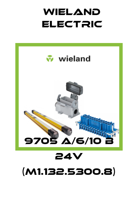 9705 A/6/10 B 24V (M1.132.5300.8) Wieland Electric