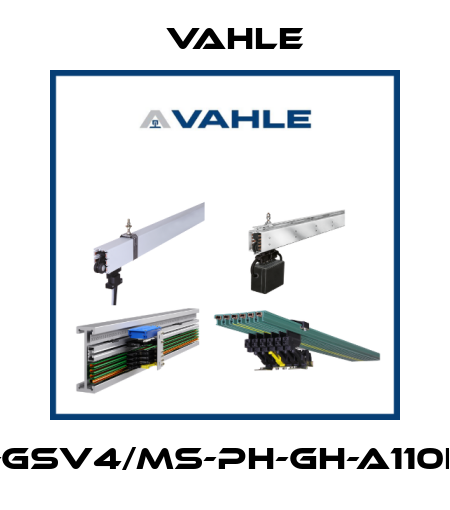 SA-GSV4/MS-PH-GH-A110L40 Vahle