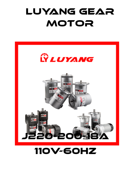 J220-200-18A  110V-60HZ  Luyang Gear Motor