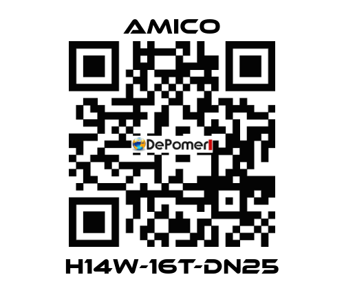 H14W-16T-DN25 AMICO