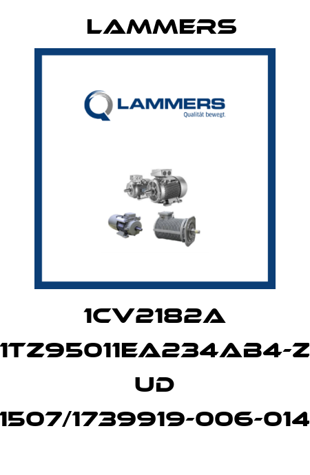 1CV2182A 1TZ95011EA234AB4-Z UD 1507/1739919-006-014 Lammers